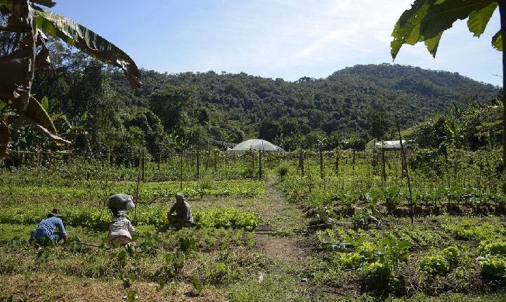 Lei institui política de empreendedorismo para jovens no campo