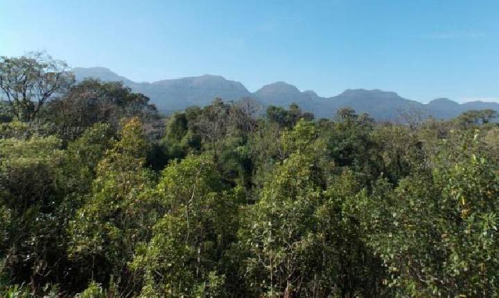 Mais de cem entidades assinam carta pedindo a candidatos mais compromisso com a conservação da natureza no Paraná