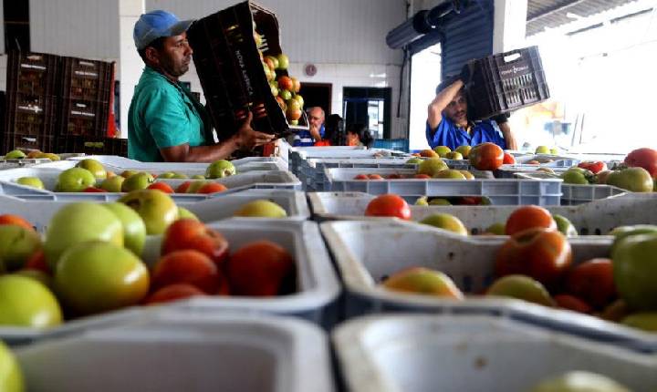 Modelo paranaense de banco de alimentos poderá ser replicado em outros estados