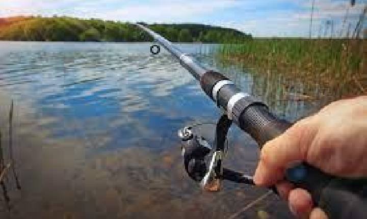 Multa por pesca ilegal contra Bolsonaro volta a valer