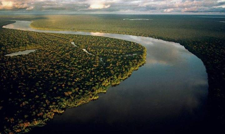 Noruega se diz pronta para repasses ao Fundo Amazônia, mas sem Bolsonaro