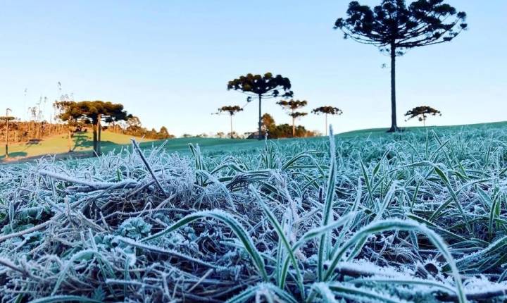 Nova onda de frio tem data para chegar ao Paraná com mínima de 0°C