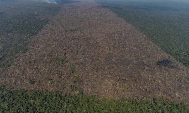 O desesperador avanço do desmatamento na Amazônia em julho