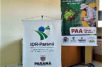Galeria de Imagem