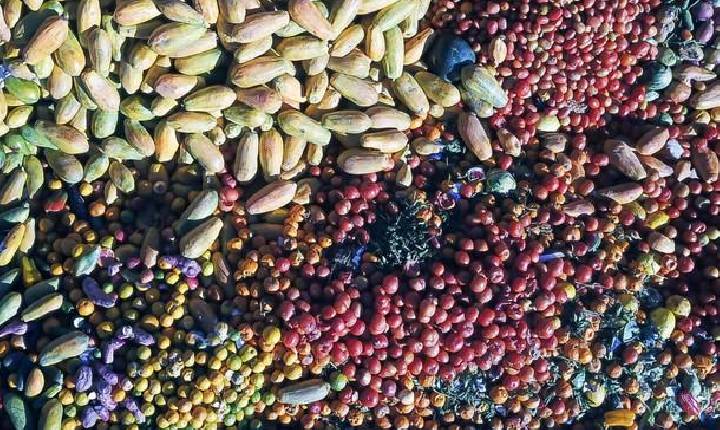 Paraná firma parceria com a Suécia para enfrentamento no desperdício de alimento