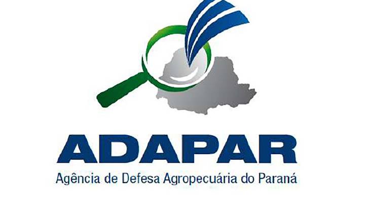 Paraná registra primeiro caso de gripe aviária e Governo reforça protocolo de contenção