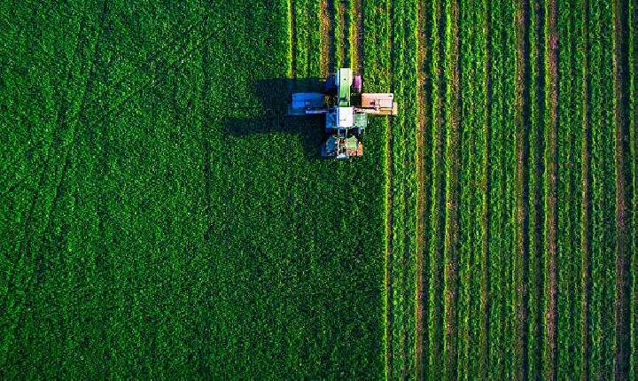 Paraná tem melhor classificação em potencialidade agrícola