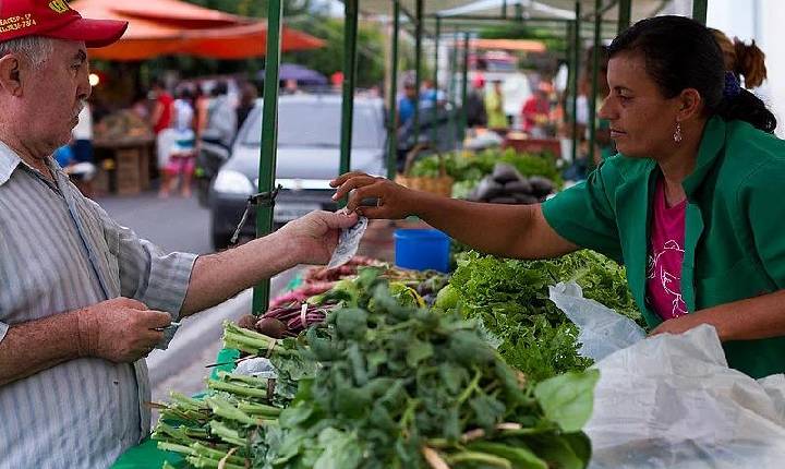 Plano Safra traz apoio inédito à agricultura familiar: confira expectativas e desafios do setor