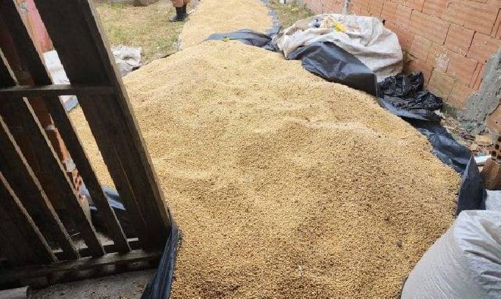 Polícia apreende três toneladas de soja furtadas