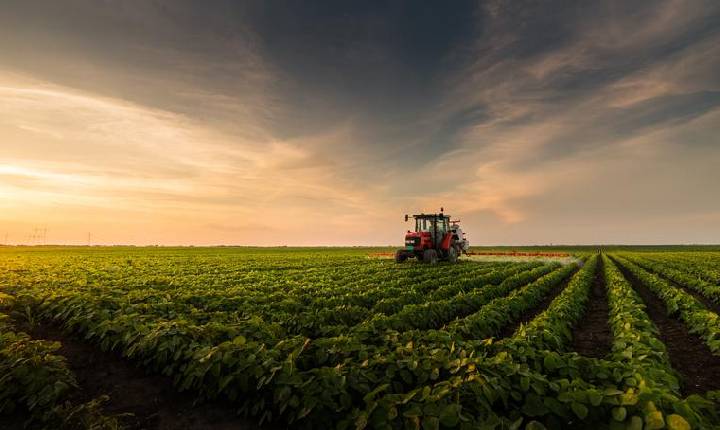 Prazo para declarar imposto sobre propriedade rural começa neste mês; saiba como fazer