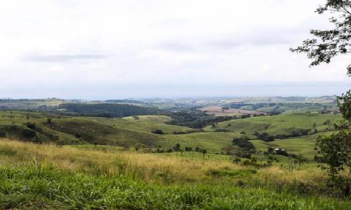 Preço de terras agrícolas subiu mais de 50% no Paraná