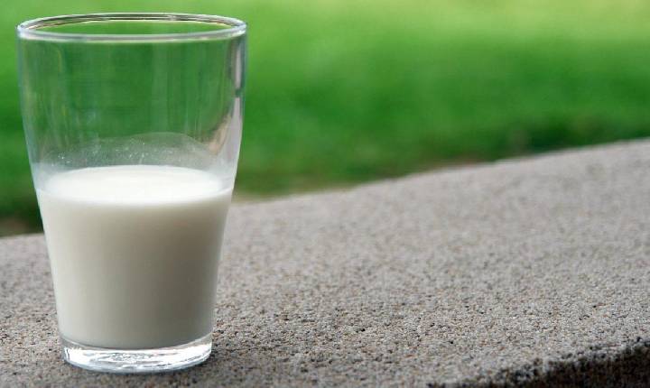 Primeira vaca clonada na Rússia abre esperança para a produção de leite sem lactose