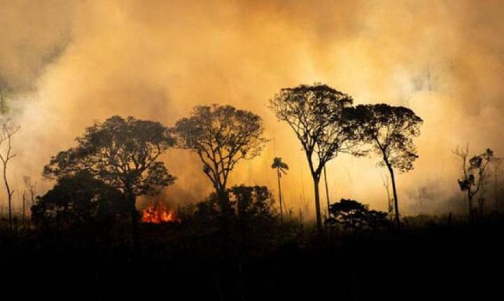 Queimadas na Amazônia e no Cerrado batem recorde para maio
