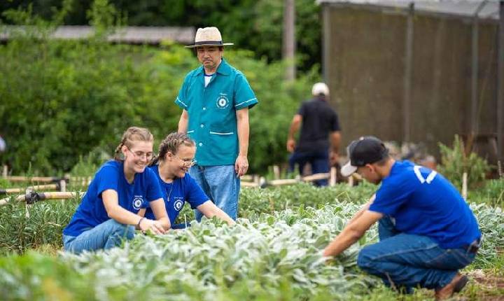 Sancionada lei que transforma colégios agrícolas em cooperativas-escola