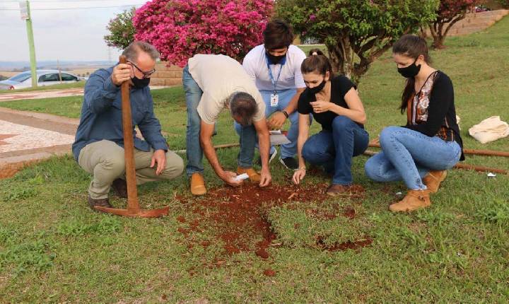 Santa Helena adere ao Dia do Voluntariado e efetua o plantio de Ipês Amarelos