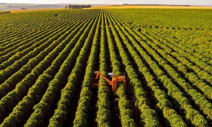 Santa Helena cresce no ranking e é o quarto maior produtor agropecuário do Paraná