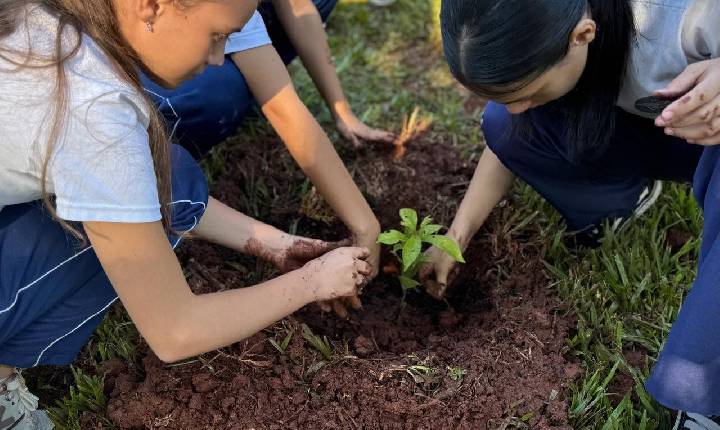 Santa Helena planta 15 mudas de árvores nativas no Balneário Terra das Águas