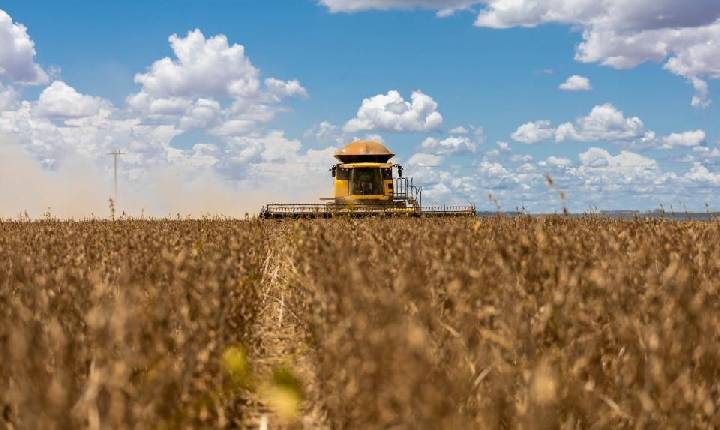 Secretaria de Agricultura do Paraná divulga nova estimativa da safra 2022/23