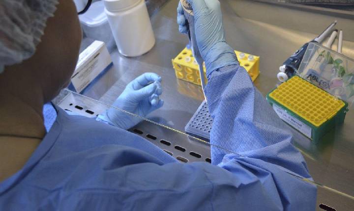 Secretaria de Saúde do Paraná divulga orientações sobre varíola dos macacos