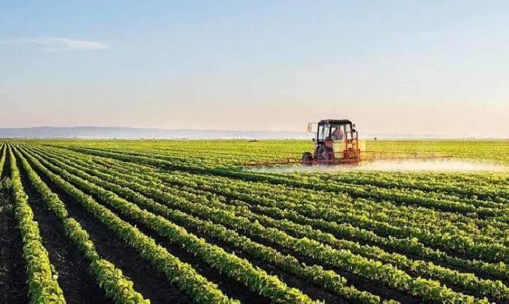 Seguro rural: novas regras ampliam cobertura e proteção ao produtor