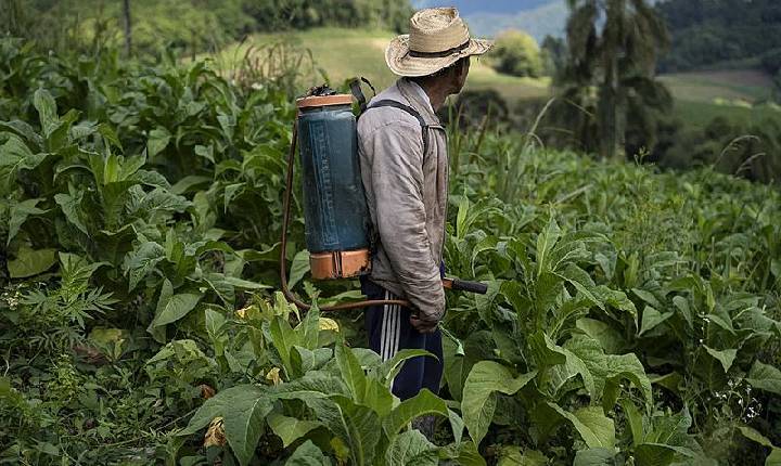 STF derruba dispositivos de Bolsonaro que flexibilizavam controle de agrotóxicos