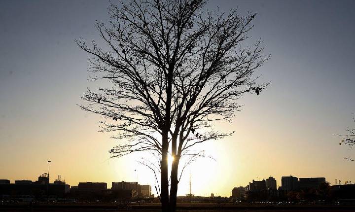 Temperaturas globais devem subir a níveis recordes nos próximos anos