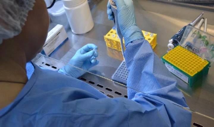 Testes clínicos mostram que primeira vacina contra a chikungunya pode estar próxima