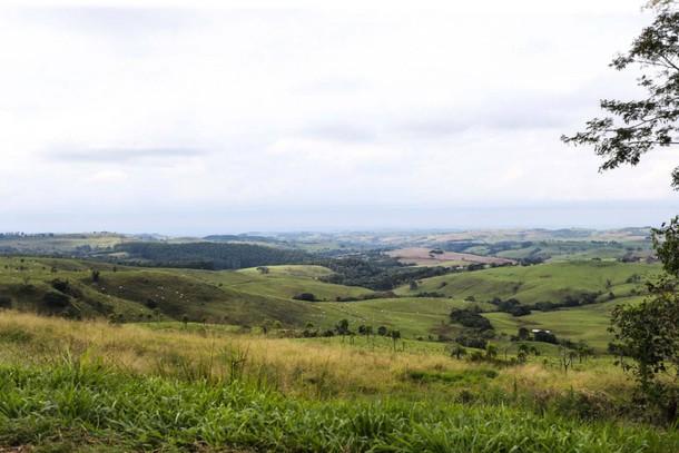 Preço de terras agrícolas subiu mais de 50% no Paraná