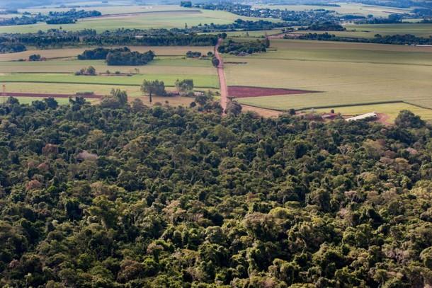 Aprovado o regime de urgência para criação da Estrada Parque do Colono