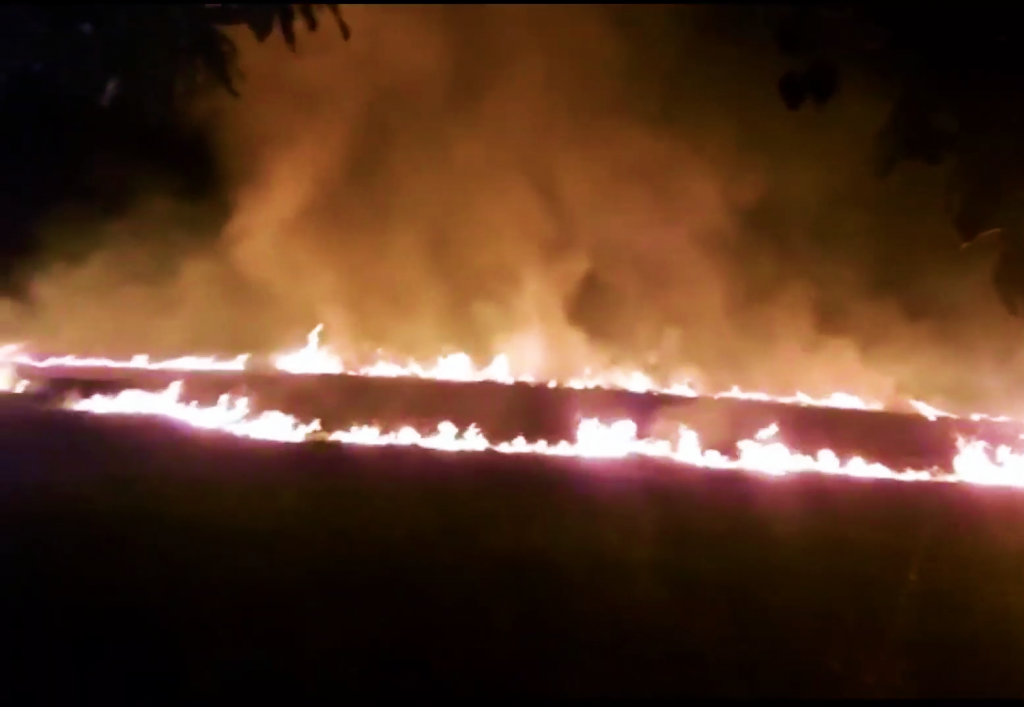Incêndio ambiental é registrado no Balneário de Santa Helena