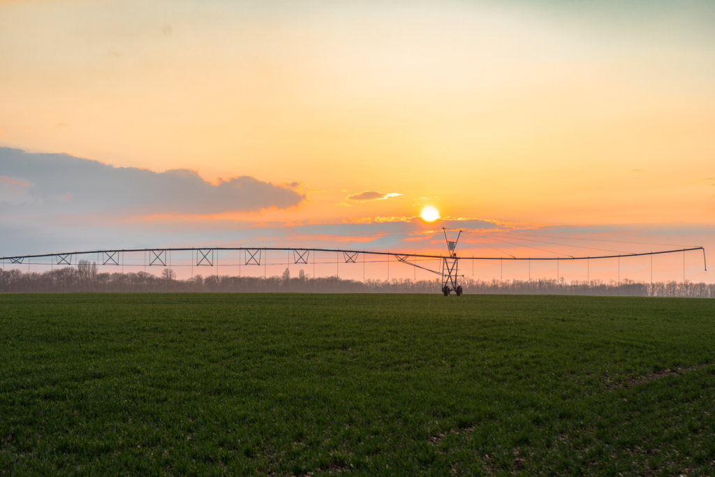 Plano Safra 21/22 aumenta recursos para técnicas agrícolas sustentáveis