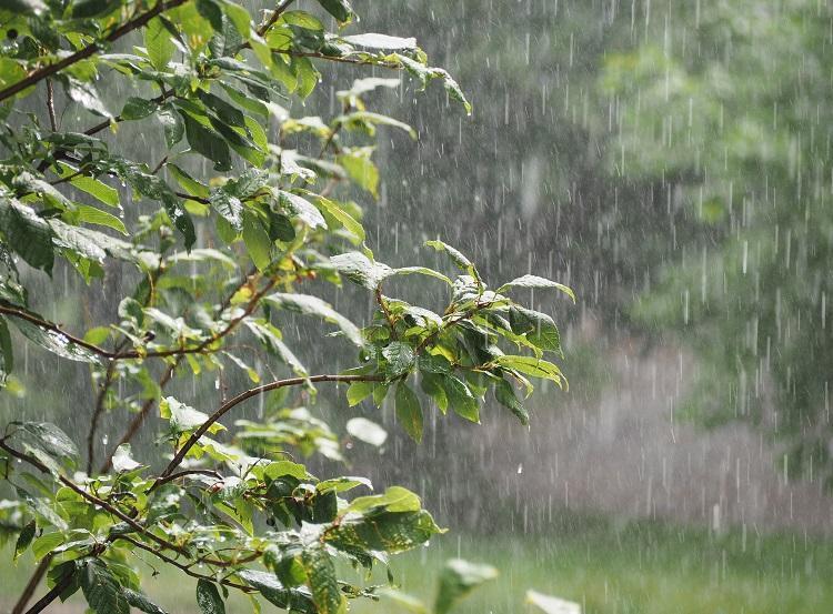 Confira a previsão do tempo para esta quinta-feira em Santa Helena