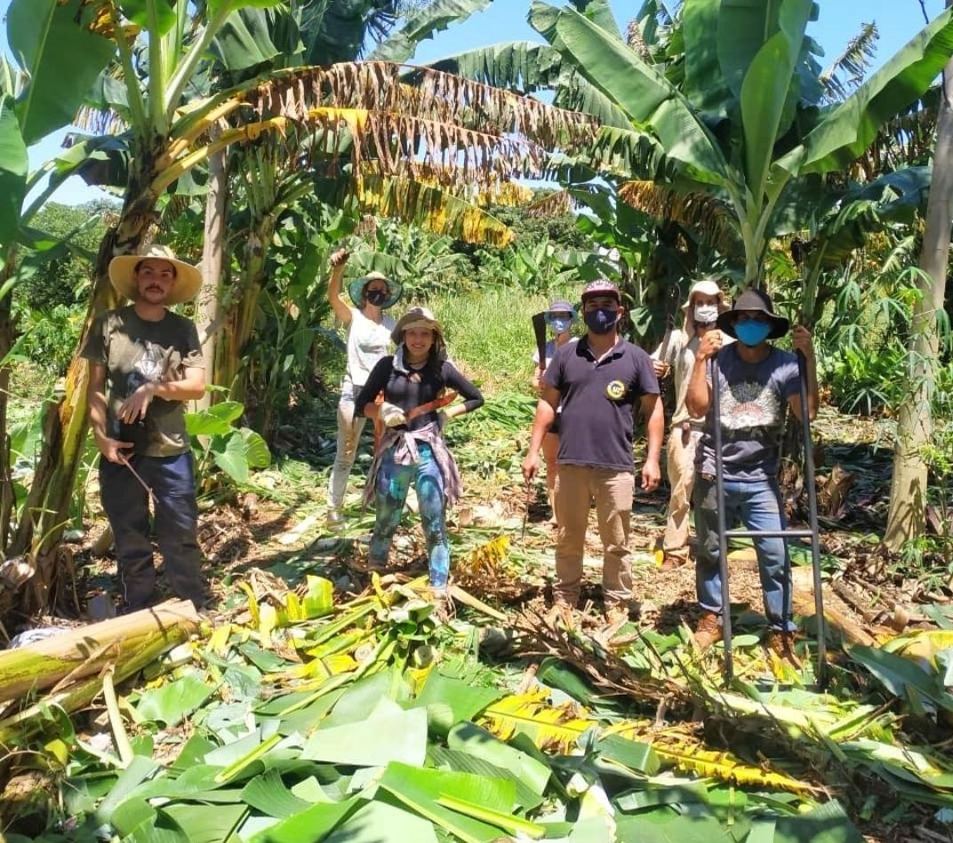 Manhã Comunitária - Entrevistado Sítio Paraná - Agroecologia e produtos orgânicos em SH - 21/07/2021