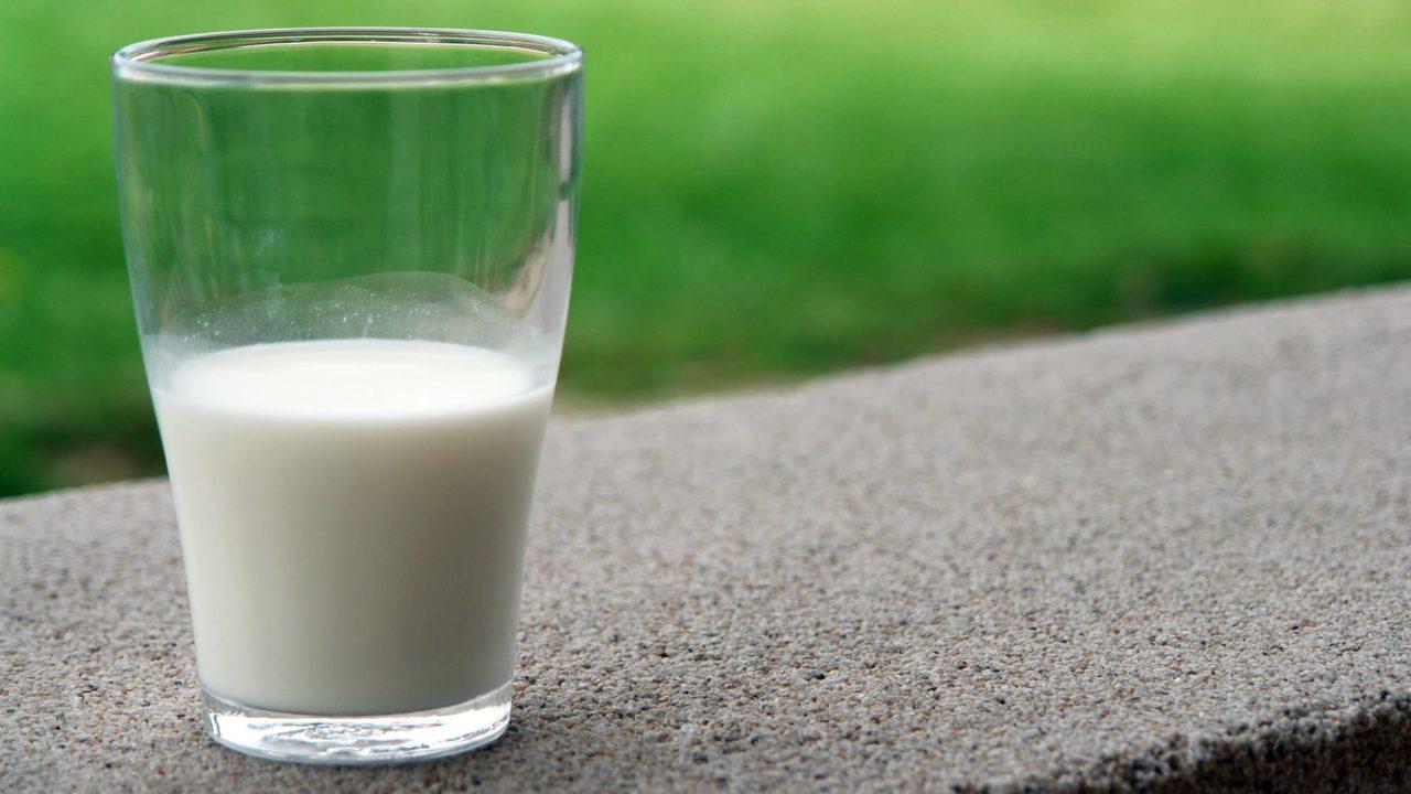 Primeira vaca clonada na Rússia abre esperança para a produção de leite sem lactose