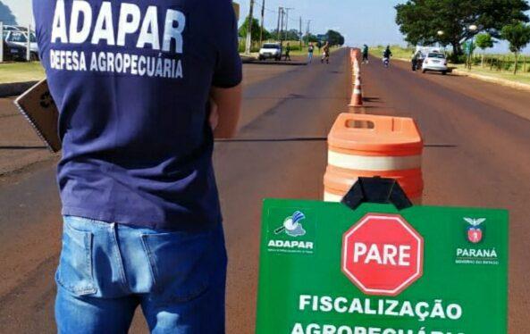 Servidores da Adapar aprovam greve a partir da segunda-feira