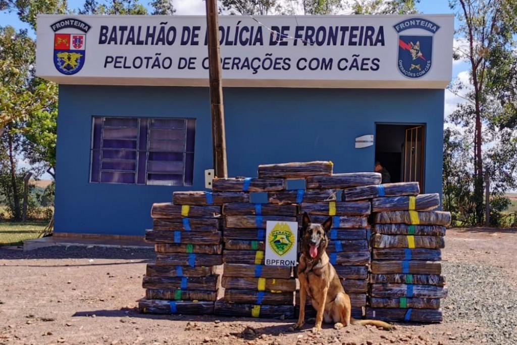 BPFron apreende diversos tabletes de maconha no interior de Santa Helena