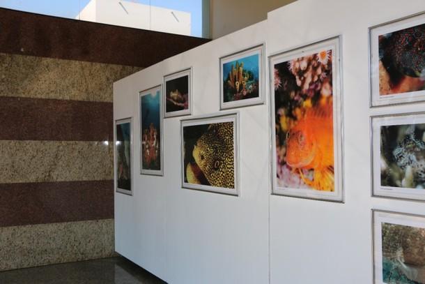 Exposição fotográfica da biodiversidade remete à preservação do meio ambiente