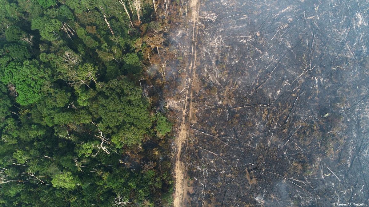 Brasil lidera ranking mundial de desmatamento florestal em 2021, diz organização