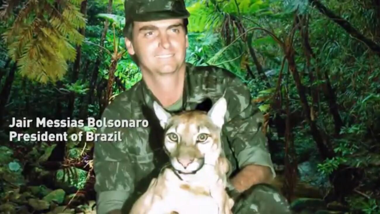 Bolsonaro divulga vídeo com informações descontextualizadas sobre desmatamento no Brasil