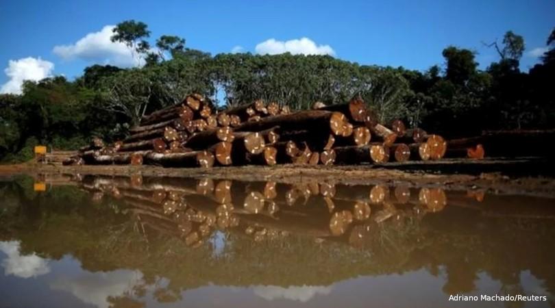 Desmatar Amazônia vai gerar prejuízo de US$ 1 bi por ano para agricultura