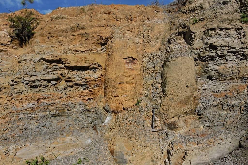 Floresta de 290 milhões de anos é descoberta no Paraná