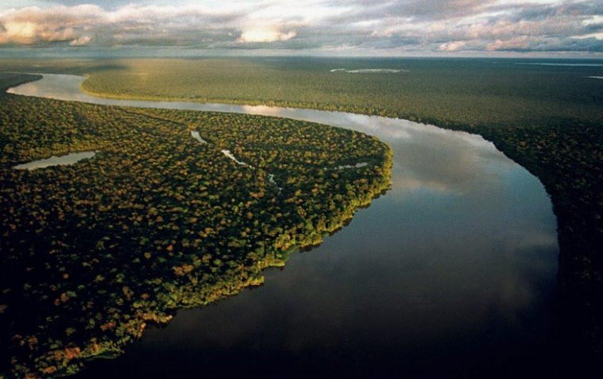 Noruega se diz pronta para repasses ao Fundo Amazônia, mas sem Bolsonaro