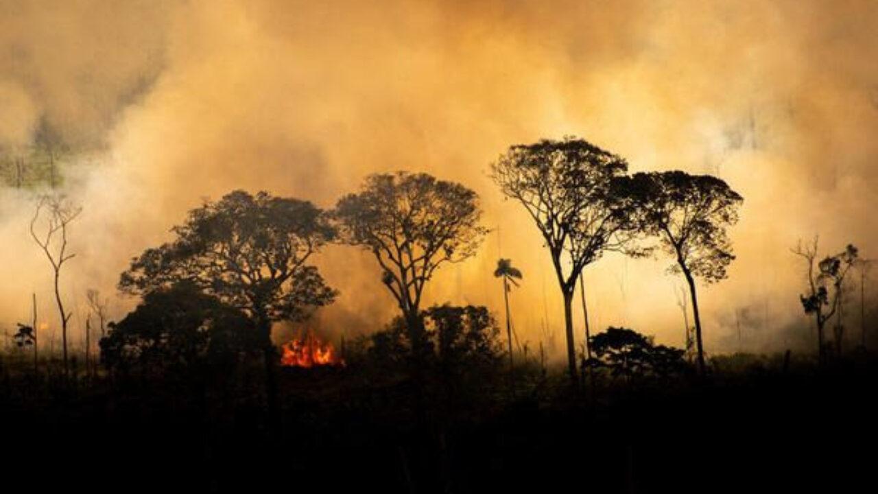 Queimadas na Amazônia e no Cerrado batem recorde para maio