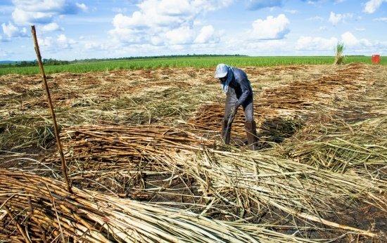 Brasil soma mais de 13 mil resgatados por trabalho análogo à escravidão em 10 anos