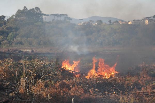 Em mês seco e quente, incêndios ambientais quadruplicam no Paraná