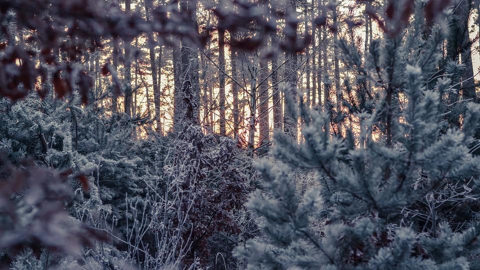 Massa de ar frio toma conta de boa parte do Brasil nesta quinta-feira (10)