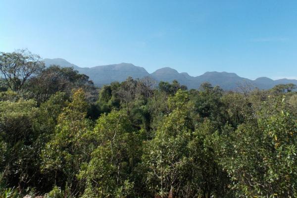 Mais de cem entidades assinam carta pedindo a candidatos mais compromisso com a conservação da natureza no Paraná