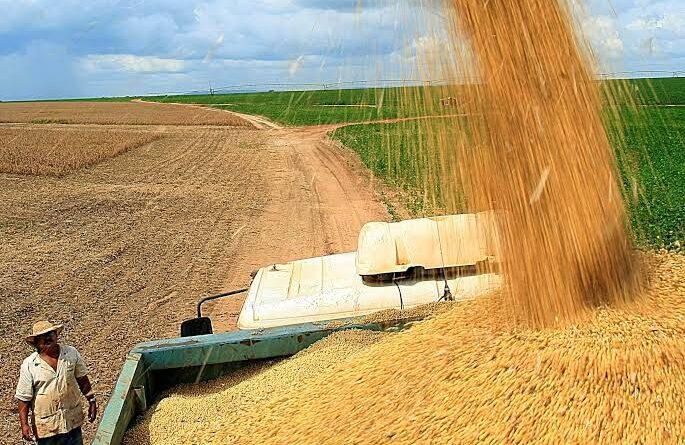 Área de plantio de arroz e feijão encolheu mais de 30% em 16 anos, com o avanço da soja e do milho