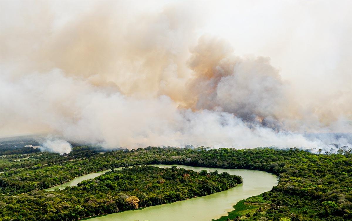 Combater crimes e fortalecer fiscalização são as primeiras medidas na agenda da reconstrução ambiental do país