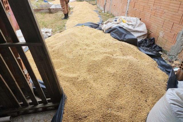 Polícia apreende três toneladas de soja furtadas
